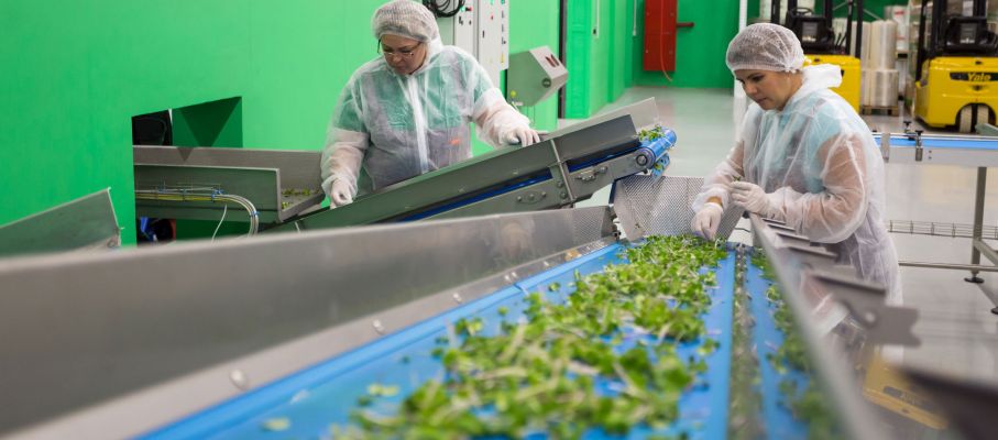 Low-skilled foreign worker recruitment for US employers